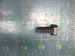 Bolt - Uncategorized