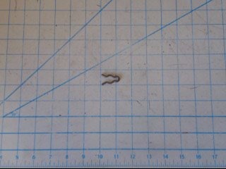 Retainer Clip - Fastener