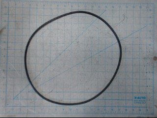 Seal Cylinder Head Lower - Seals, O-Rings & Gaskets