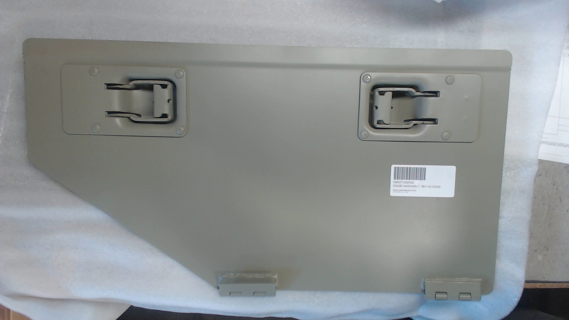 Door Assembly  M/V Access - Carbody